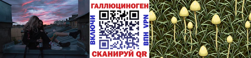 Псилоцибиновые грибы Psilocybe  Рудня 